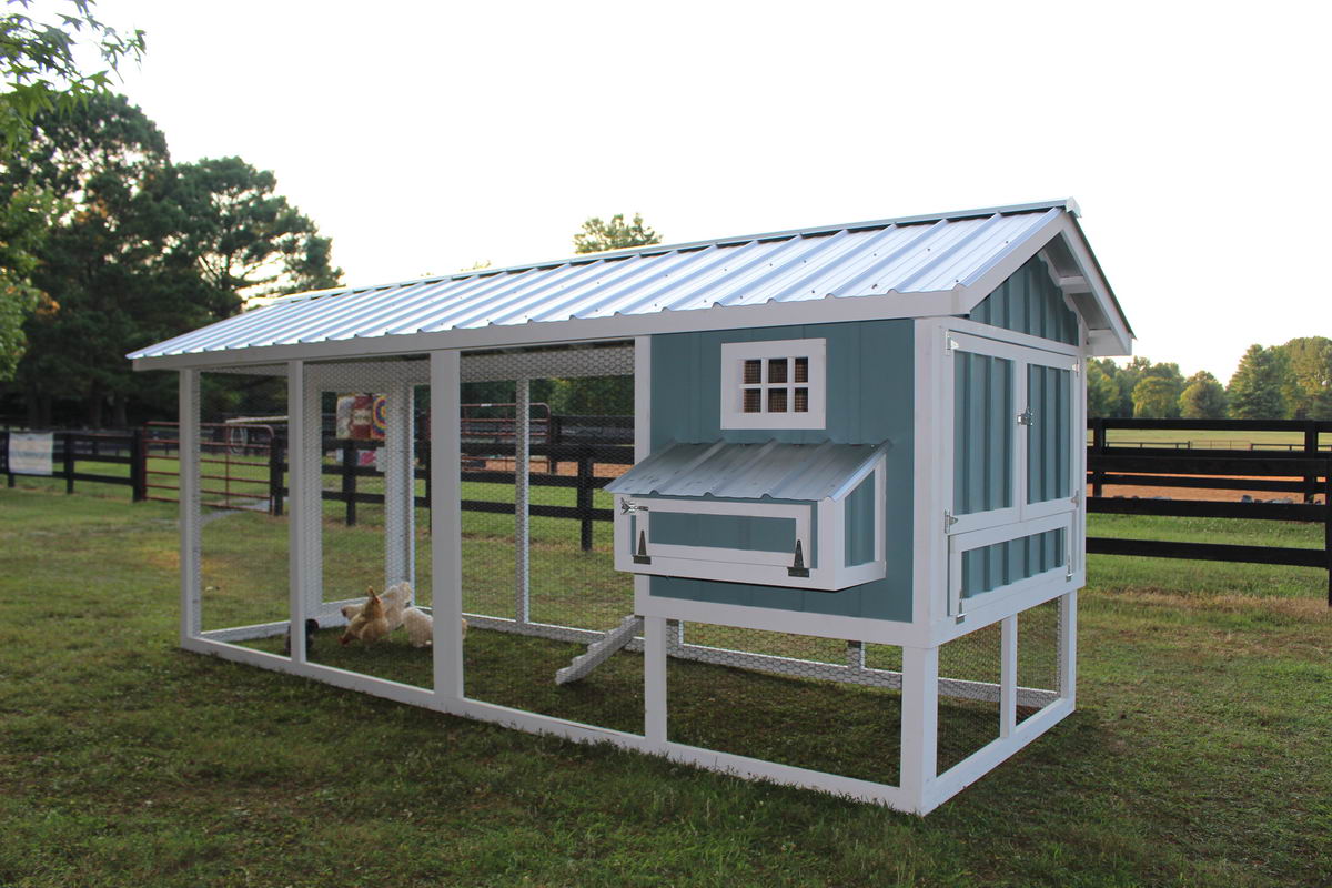 Carolina Coops-custom designed chicken coops-backyard chickens–51