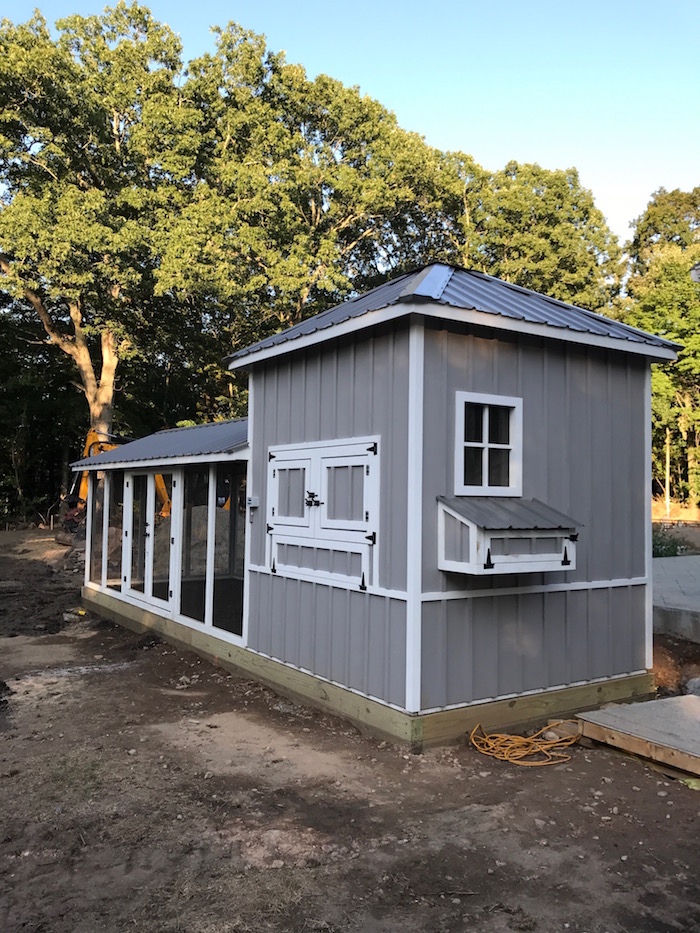 Carolina Coops- shed-style-custom-coop-10