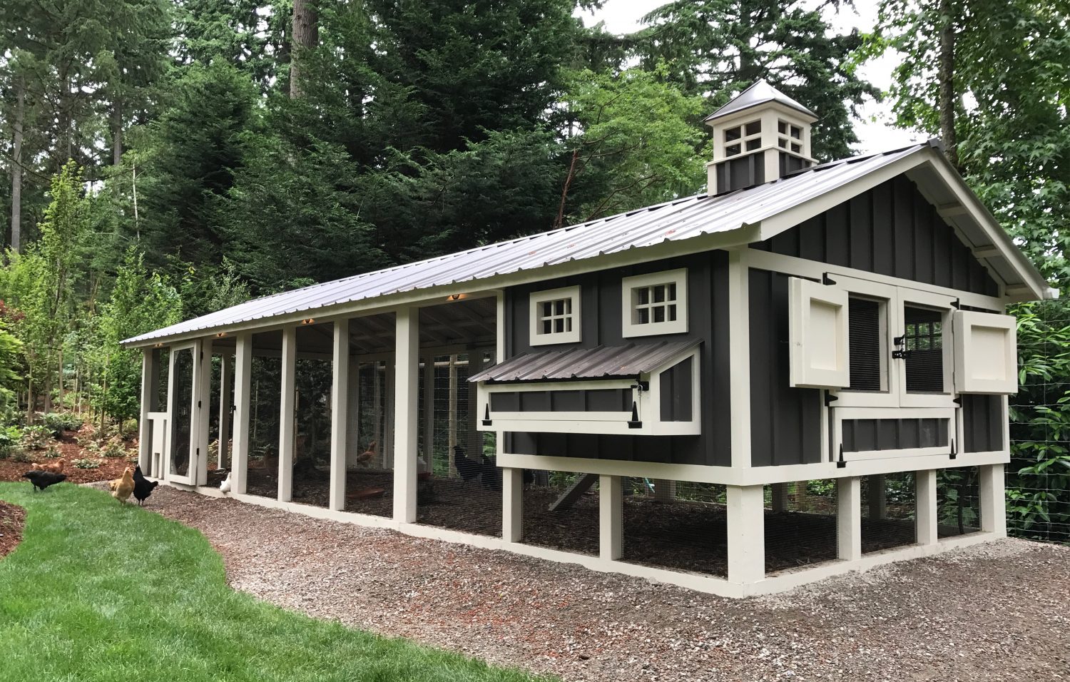 10′ x 30′ Carolina Coop with board and batten siding in Seattle, WA