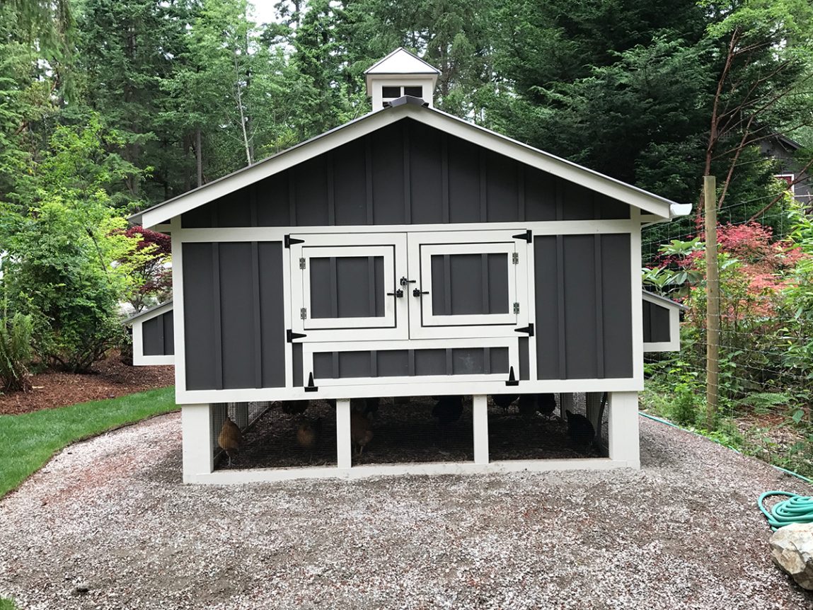 Henhouse exterior of a 10′ x 30′ Carolina Coop with board and batten siding with chicken run door in Seattle, WA