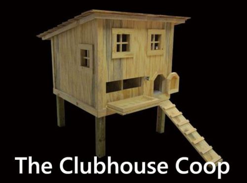 Carolina Coops-The Clubhouse Coop