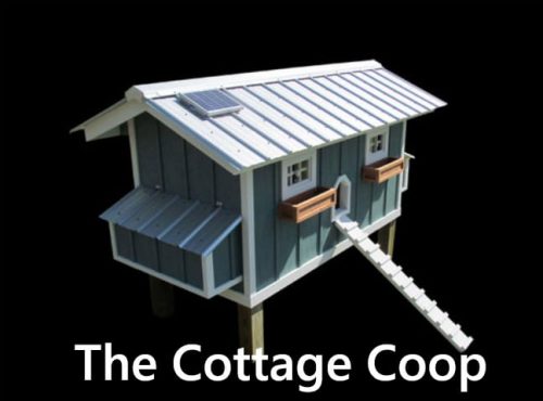 Carolina Coops The Cottage Coop
