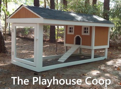 Carolina Coops-The Playhouse Coop-1