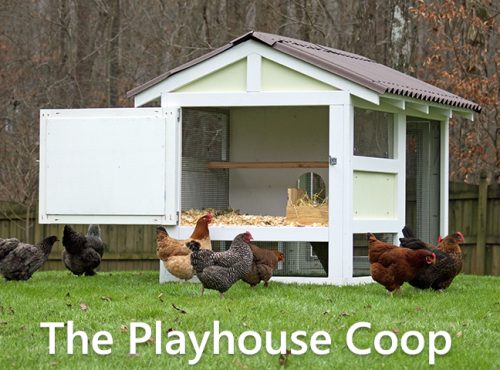Carolina Coops-The Playhouse Coop-4