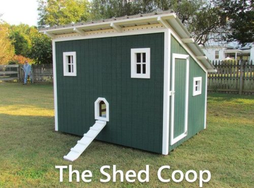 Carolina Coops-The Shed Coop-2