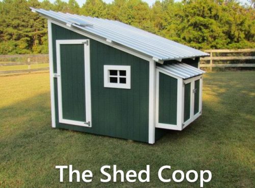 Carolina Coops-The Shed Coop-4
