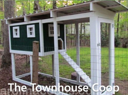 Carolina Coops-The Townhouse Coop-2
