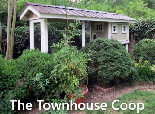 Carolina Coops-The Townhouse Coop