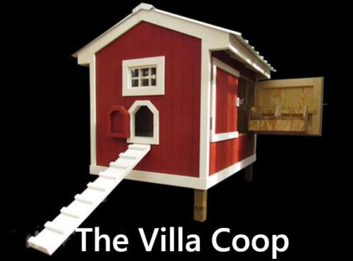 Carolina Coops-The Villa Coop-1