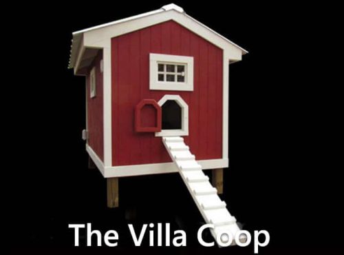 Carolina Coops-The Villa Coop-2