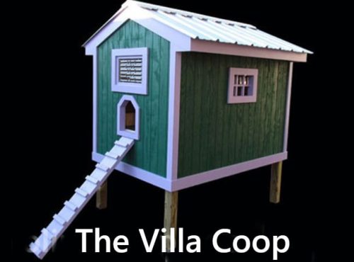 Carolina Coops-The Villa Coop-3