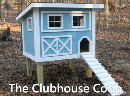 Carolina Coops-The clubhouse coop-1