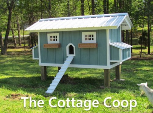 Carolina Coops the Cottage Coop-2