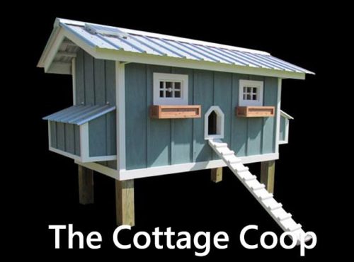 Carolina Coops the Cottage Coop-3
