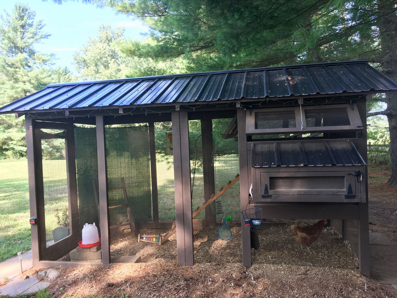 Carolina Coops – American Coop in Vermont with shade cloth (3)