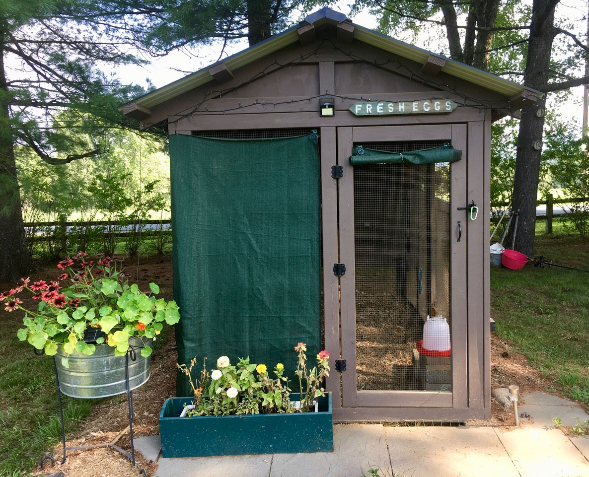 6′ x 12′ American Coop with 4′ x 6′ henhouse in Vermont with shade cloth