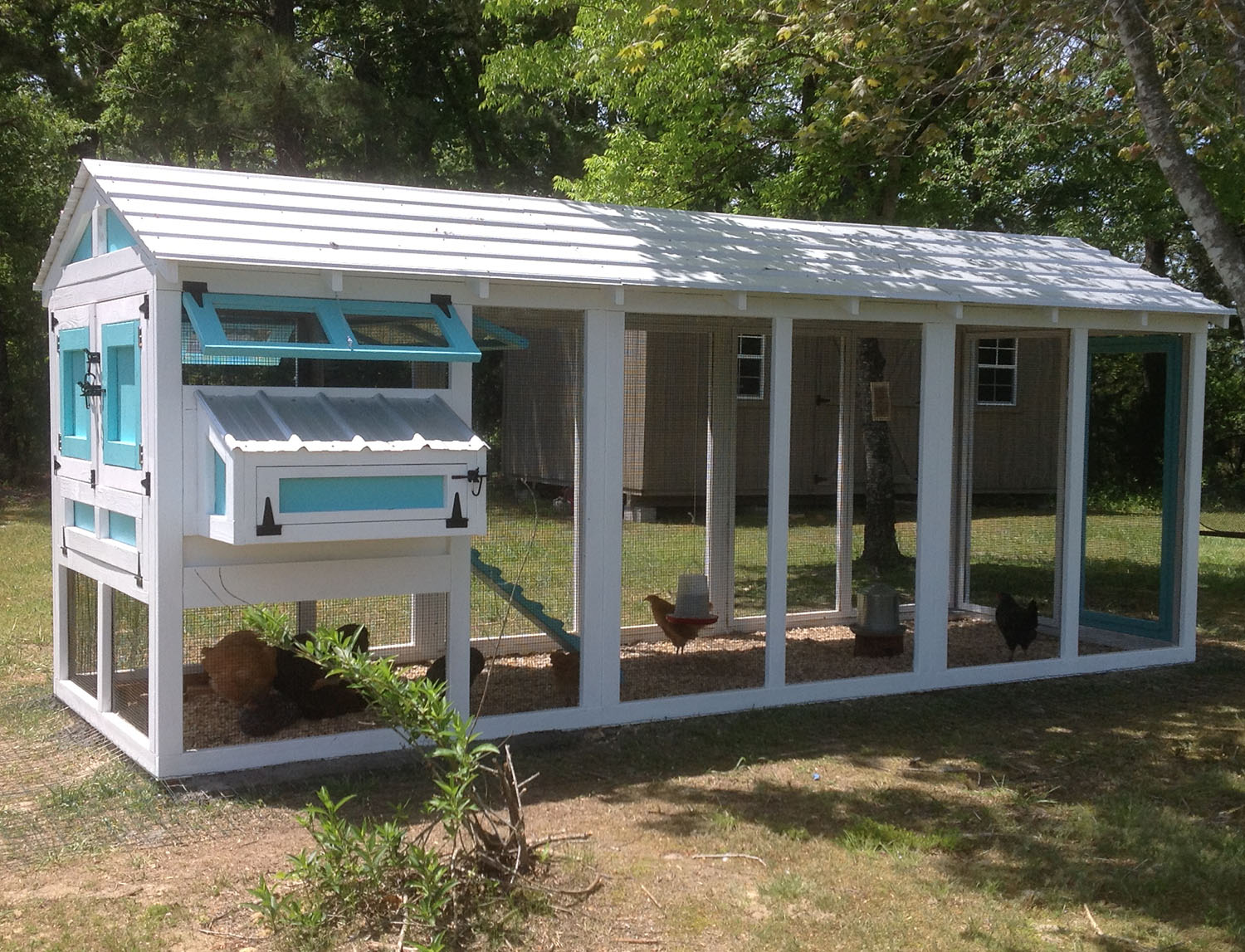 6′ x 18′ American Coop with 4′ x 6′ henhouse in blue and white