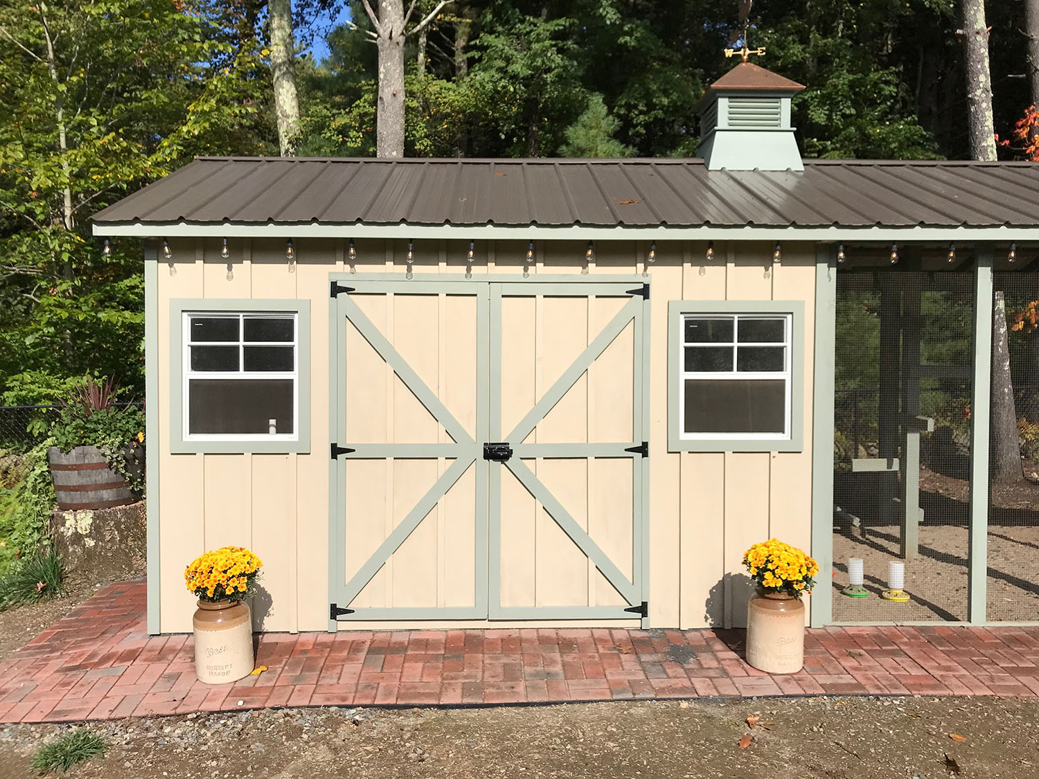 Custom Shed/Chicken Coop in Providence, Rhode Island