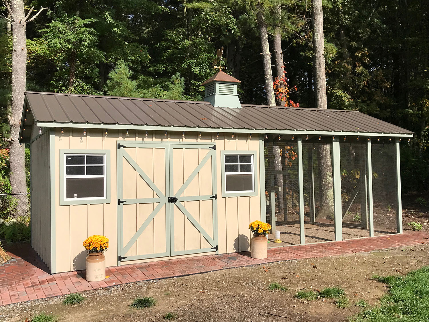 Custom Shed/Chicken Coop in Providence, Rhode Island