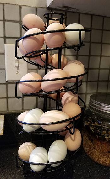 Egg Skelter from Chicken Condos 