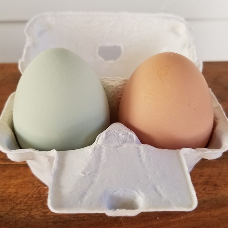 Carolina Coops - Resources - 5 reasons to eat eggs