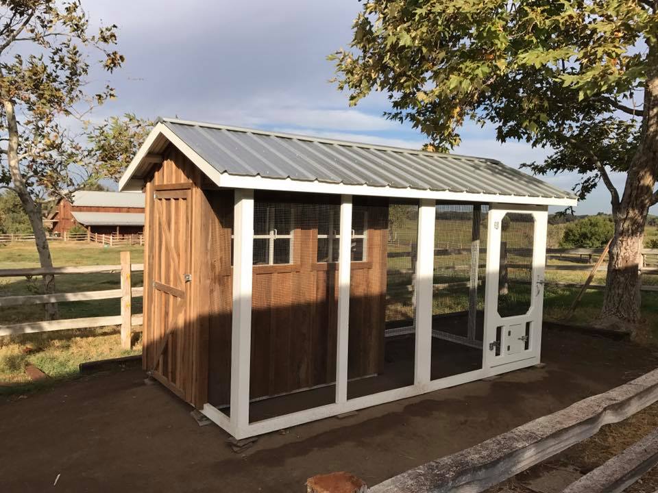 Reclaimed barn wood coop in Modesto, CA