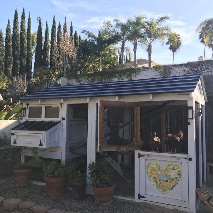 6′ x 12′ American Coop with 4’x 6′ henhouse with Dutch Door  in CaliforniaCoop in California