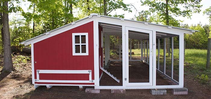 Carolina Coops large custom shed style coop