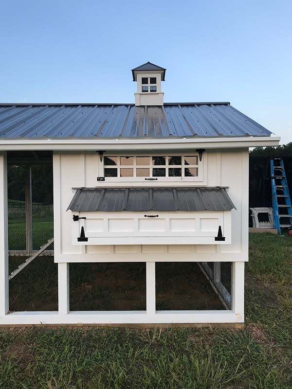 6′ x 10′ henhouse exterior on 10′ x 30′ Carolina Coop in Virginia with 5-gang egg hutch