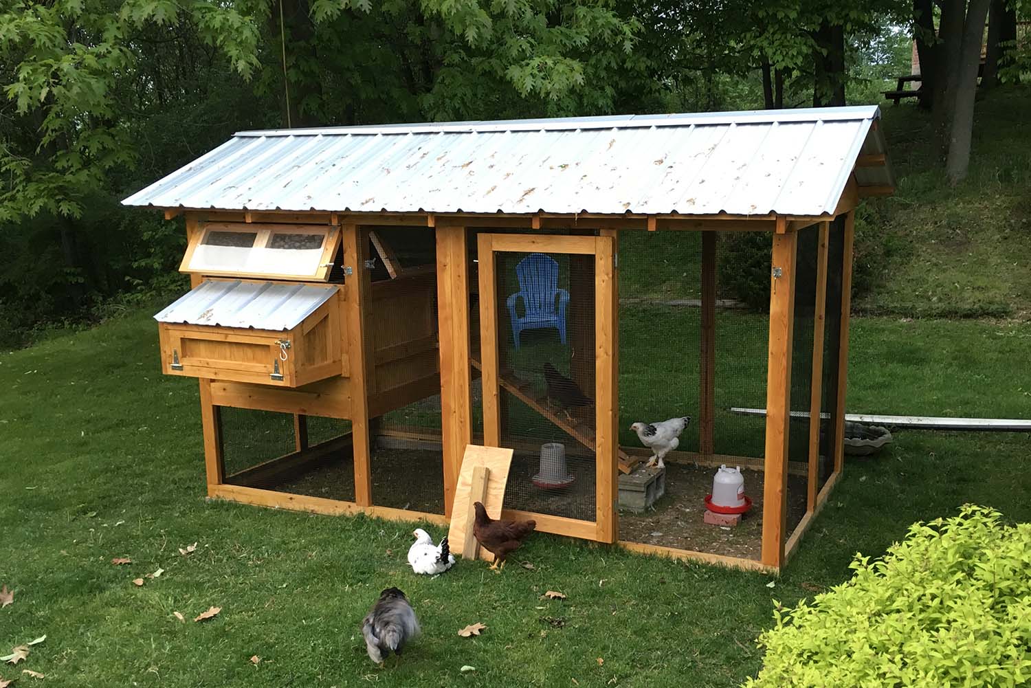 6′ x 12′ American Coop with 4′ x 6′ henhouse standard in Arkport, NY