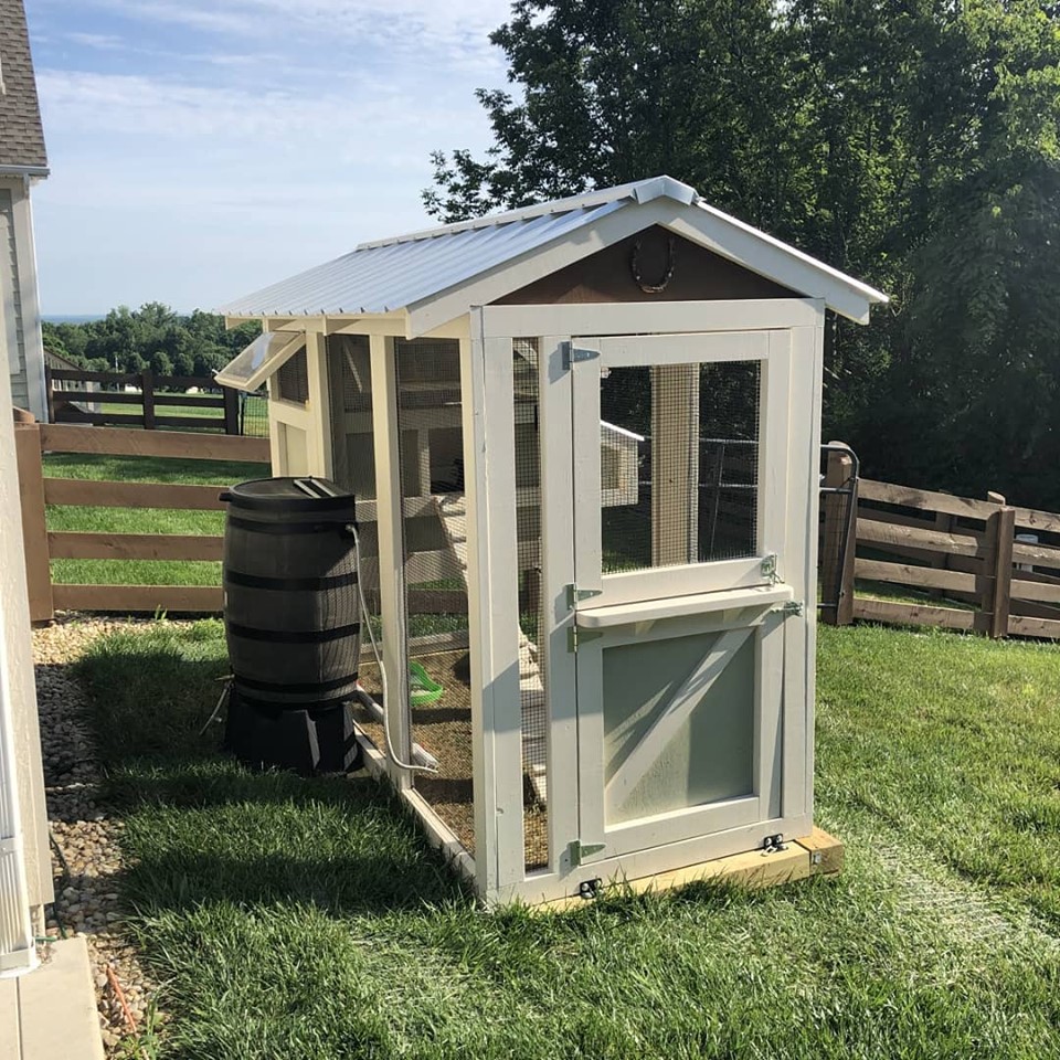 4′ x 9′ California Coop with 3′ x 4′ henhouse painted to match the house with a Dutch door and rain barrel waterbar system in Ohio