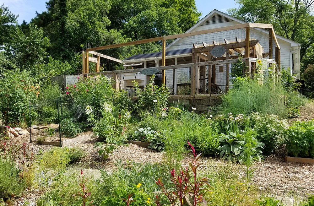 Chicken coop on the side of the house with 6 foot fencing - Carolina Coops