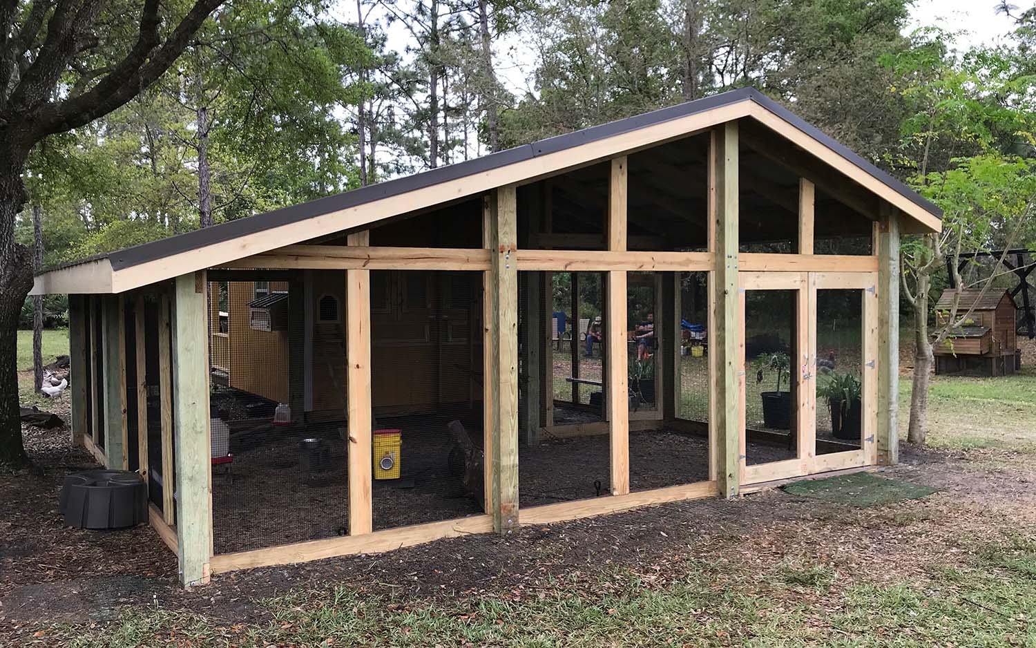 Large custom chicken run built onto converted shed in Orlando, Florida