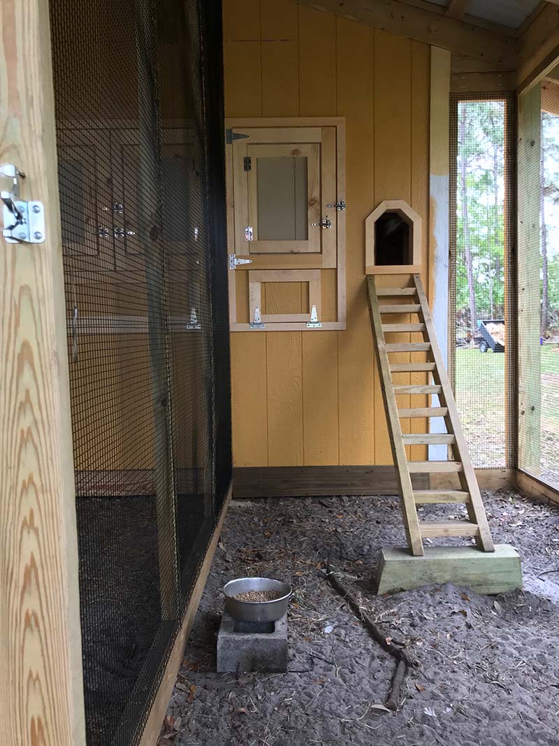 Separate rooster house in custom chicken run in Orlando, Florida