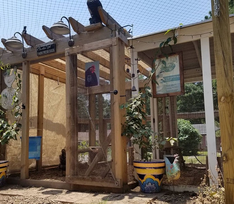 pergola addition to chicken coop with poultry netting on top of fenced in area - Carolina Coops