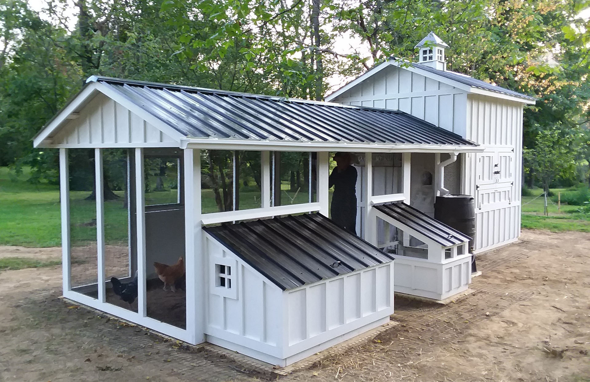 Custom Craftsman chicken coop and duck house in Hamilton, Virginia with duck dipper