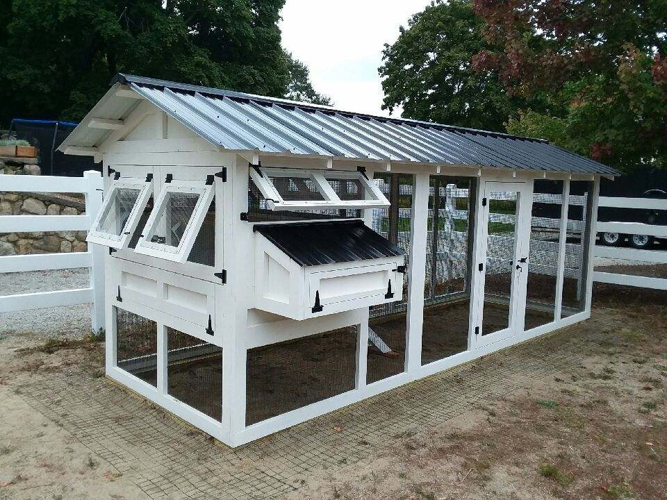 6′ x 18′ American Coop with 4’x 6′ henhouse   painted white with black hardware in Norwell, MA
