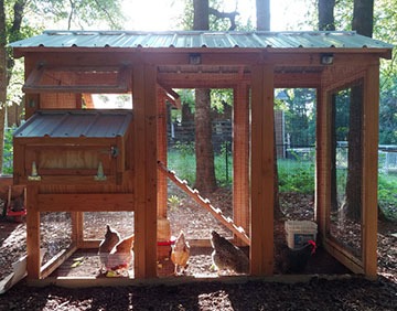 California Coop – Compare our chicken coops
