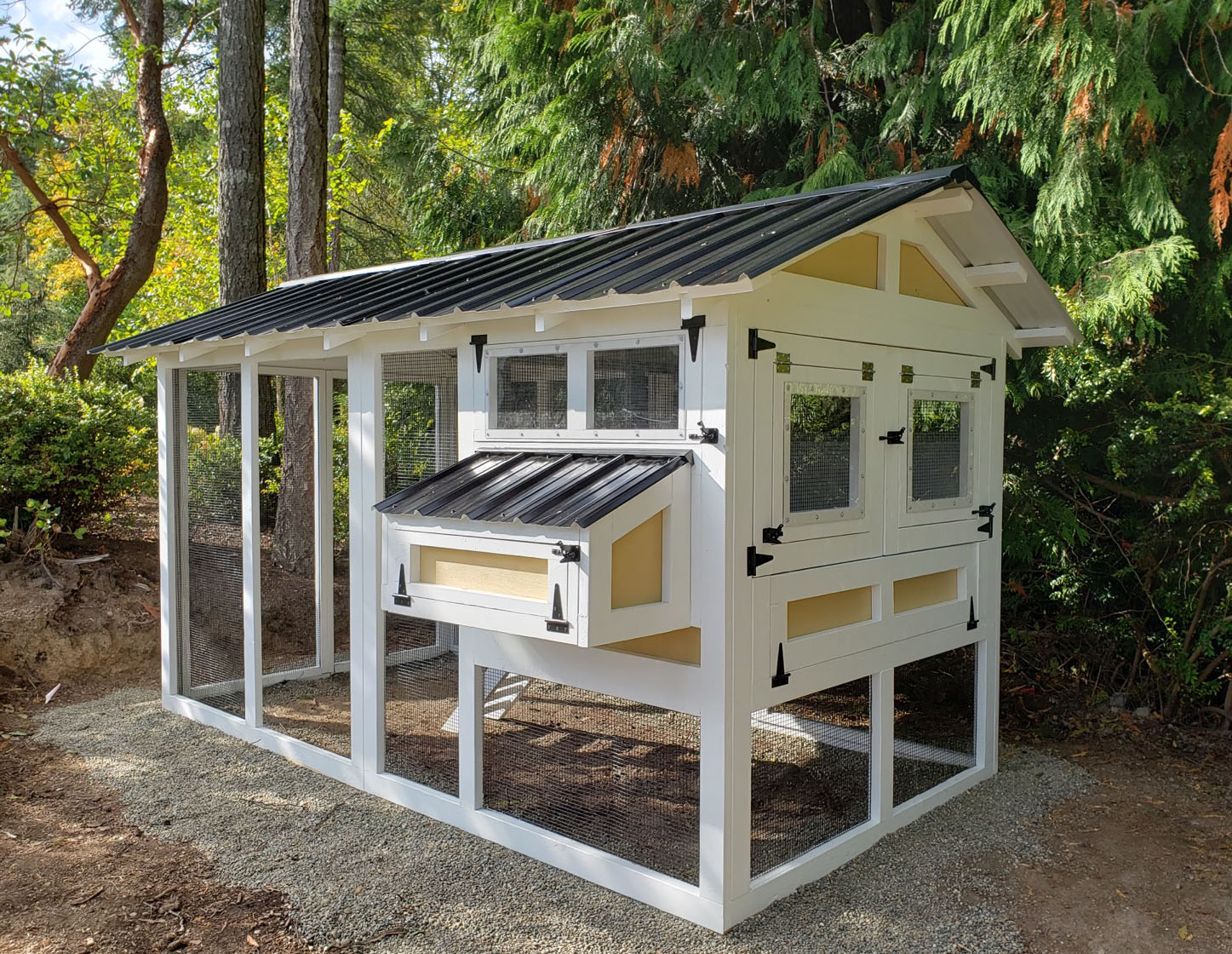 6′ x 12′ American Coop with 4′ x 6′ henhouse and cantilevered henhouse doors in Gig Harbor, Washington
