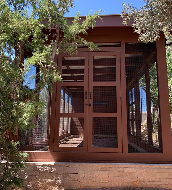 Double doors on a custom modern chicken coop in Santa Fe, NM