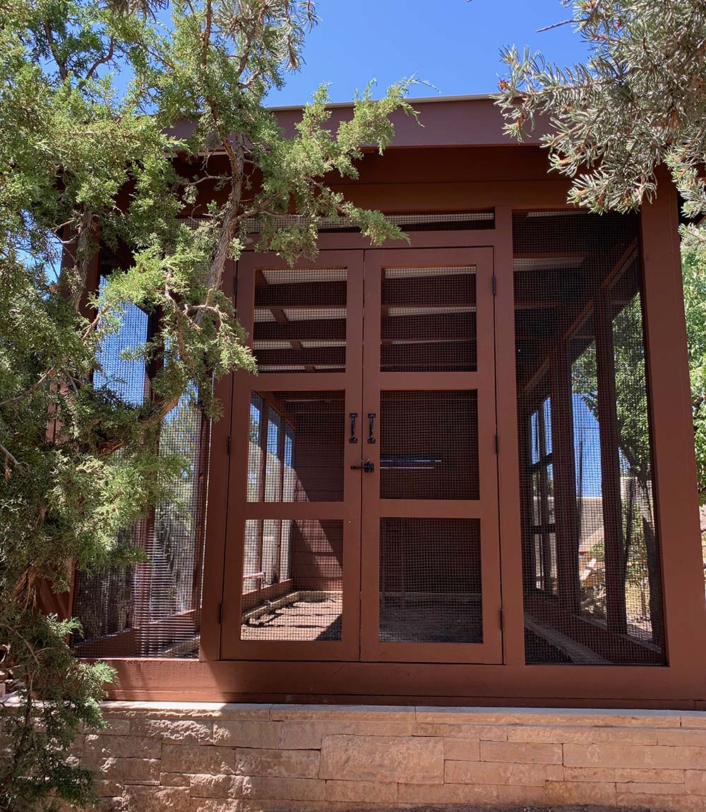 front view of modern custom chicken coop with double door and shiplap siding in Santa Fe, NM