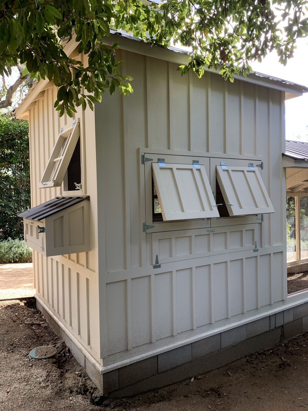 Exterior of 8’x8′ henhouse-shed combo of a Craftsman Coop in Santa Barbara CA