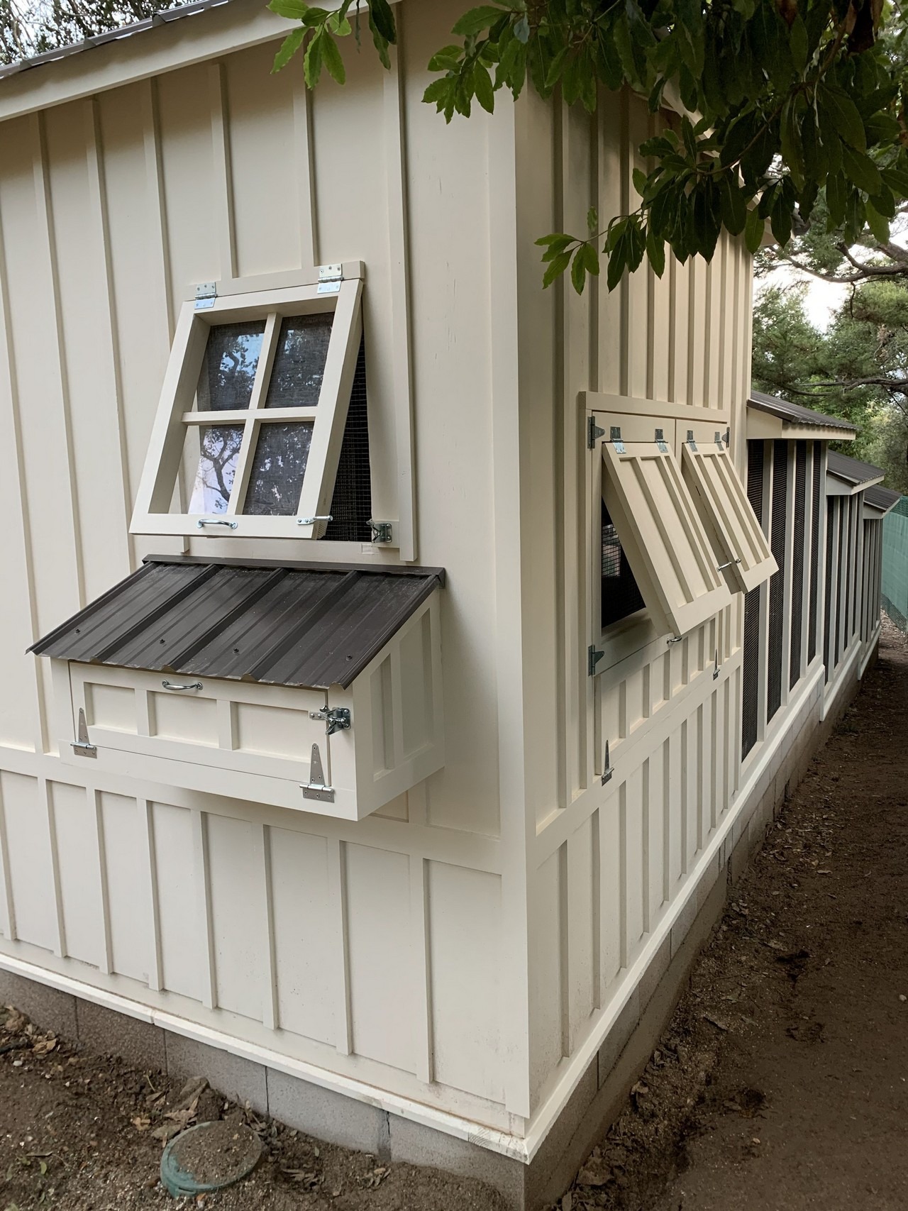egg hutch and tilt out windows on the shed-henhouse combo of a custom Craftsman chicken coop in Santa Barbara, CA