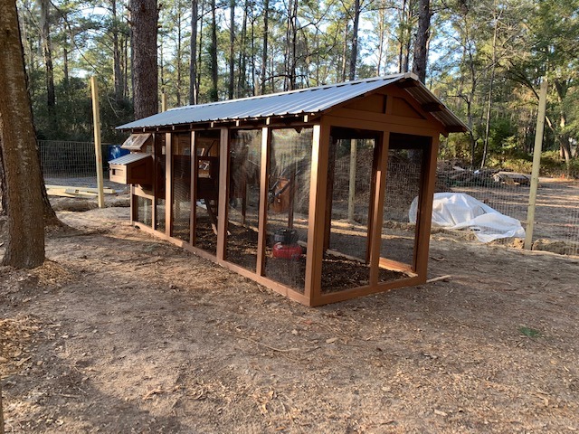 6’x18′ American Coop with 4’x6′ henhouse in Bluffton, SC (3)