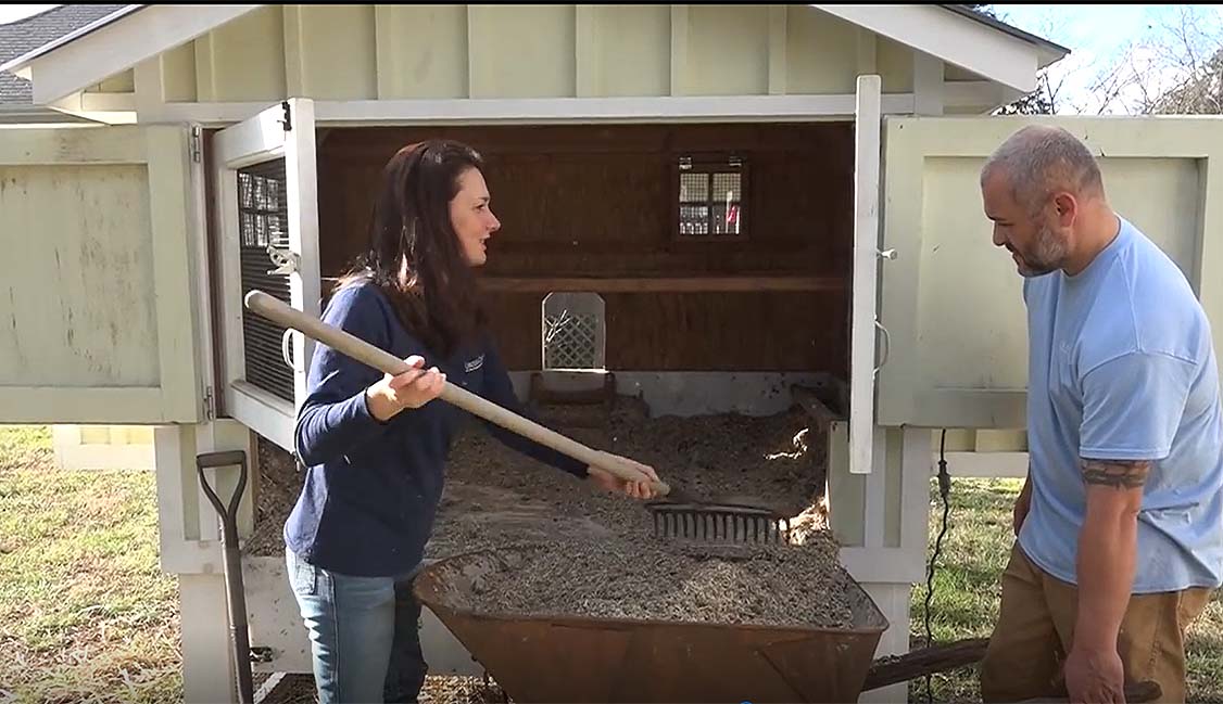 Carolina Coops - Deep Litter Method - henhouse clean out