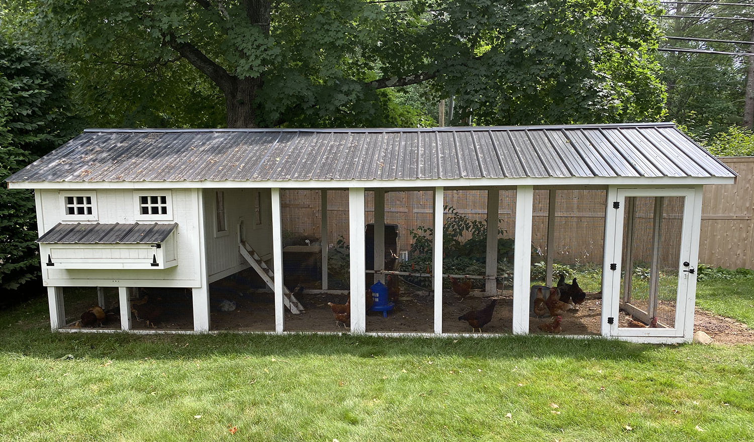 10’x24′ Carolina Coop in Peterborough, NH with sandwiched walls and gutters and rain barrel poultry water system