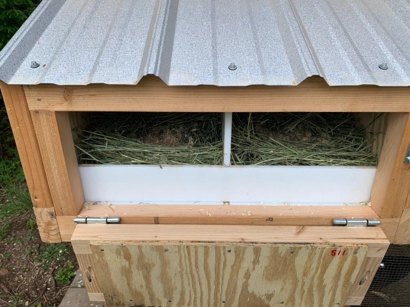 Drop down door on a two-gang egg hutch on a California Coop