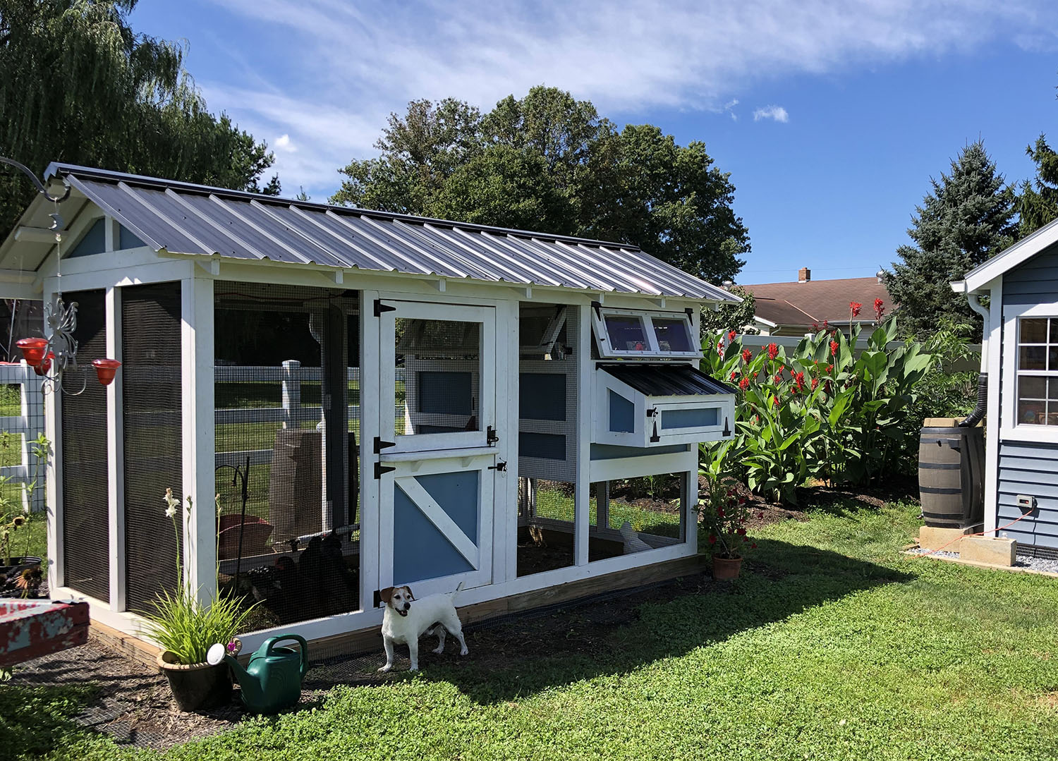 6’x12′ American Coop in PA with Dutch door and two tone paint job