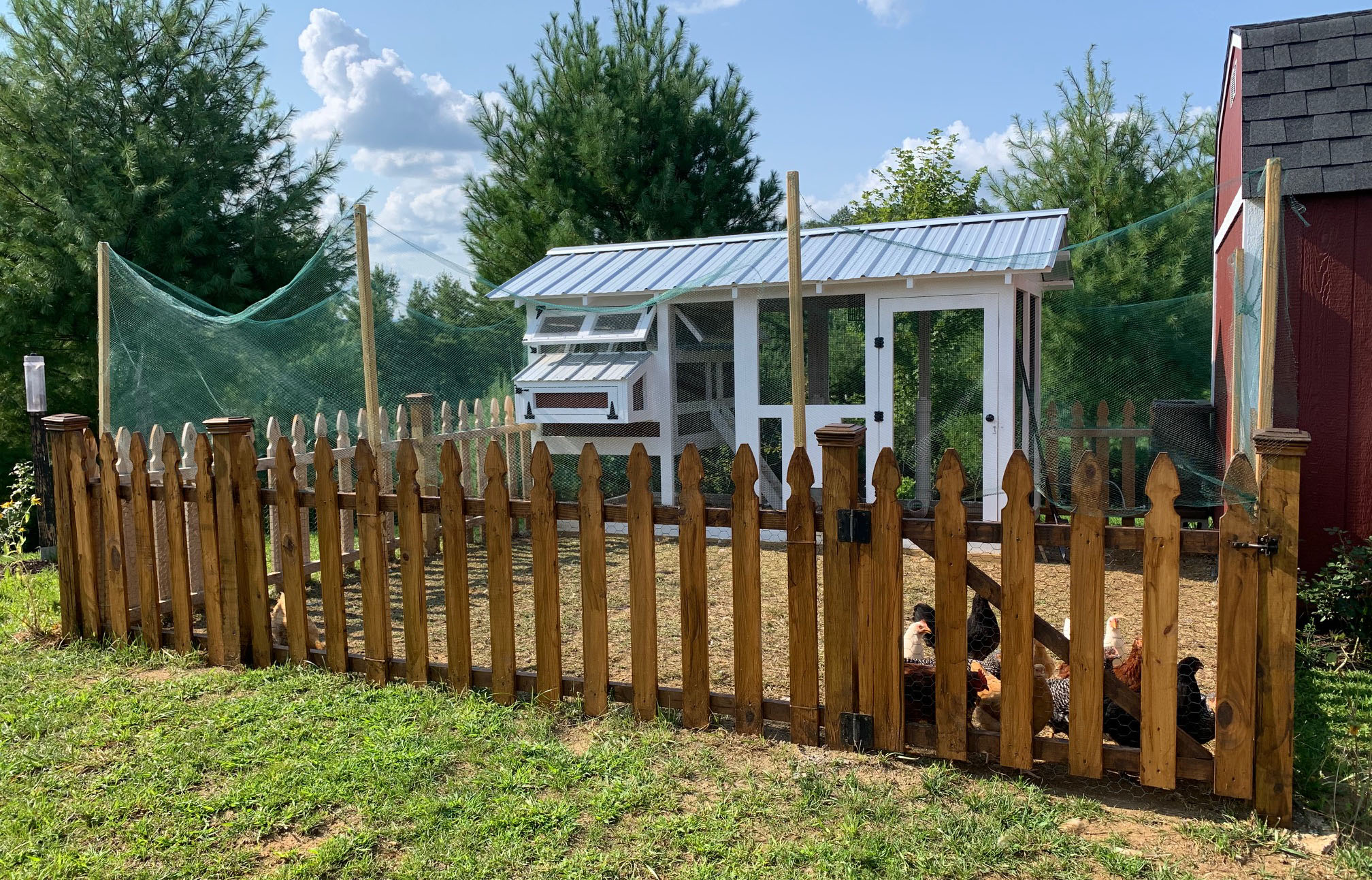6’x12′ American Coop with manual run door in West Jefferson, NC with netted area for chickens