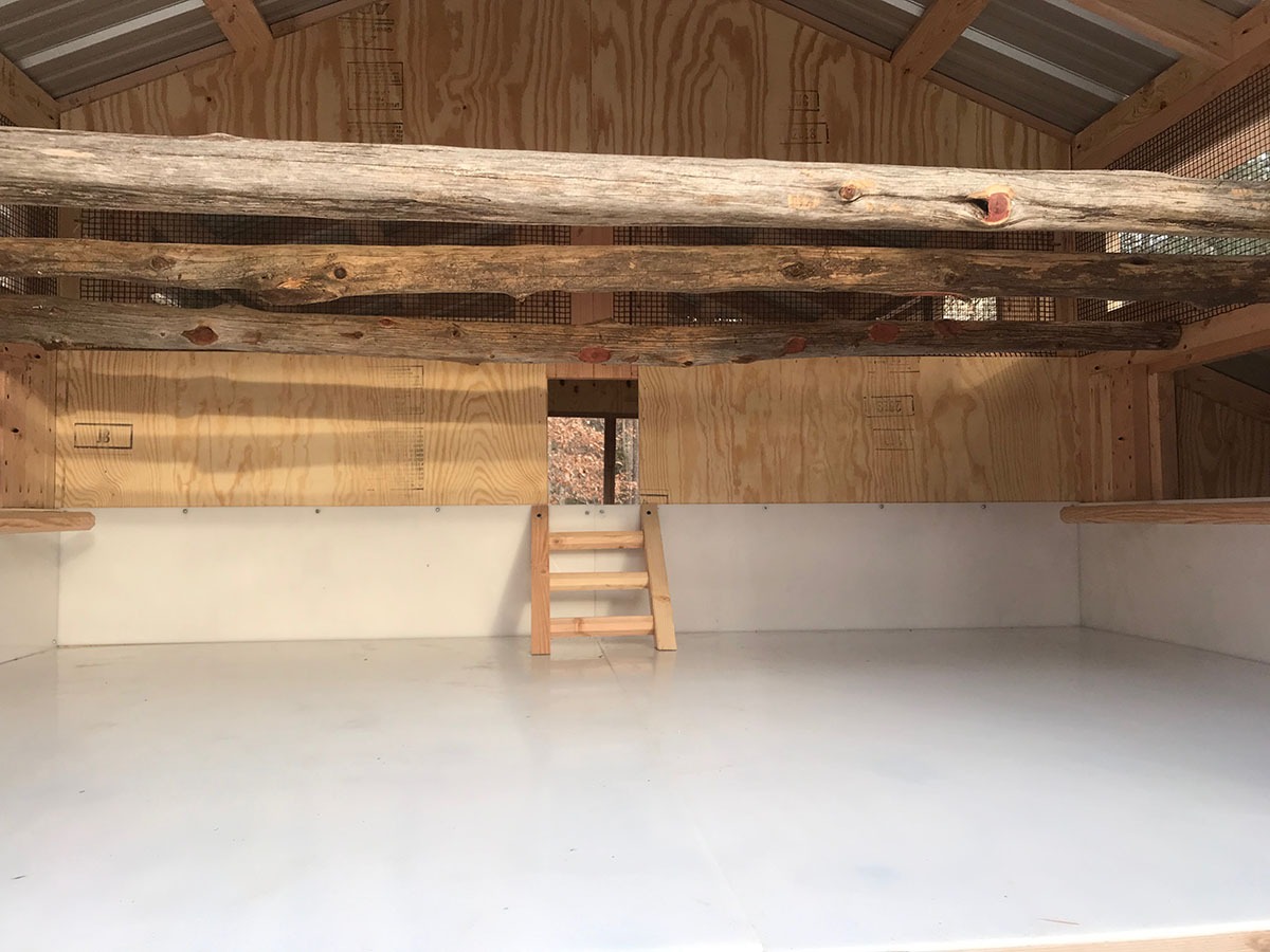 Inside the 6’x8′ henhouse of an 8’x24′ American Coop with natural tree branch roost bars